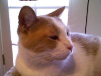 Buster